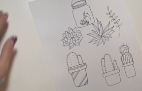 Skillshare - Botanical Line Drawing