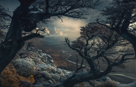 Max Rive Tutorial