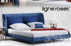 Ligne Roset Desdemone