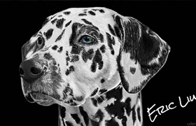 Udemy - Learn the Secret of Digital Dog Paintings Using MS Paint
