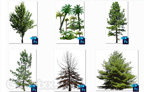 Got3D - Tree & Vine 90 Textures with Alpha Files