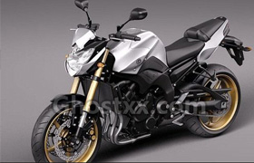 Yamaha FZ8 Fazer 2011 - 3D Model