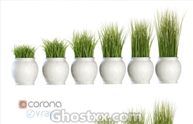 Grass in pots - Vray - 3D Model