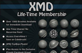 Introducing the the Life-Time Membership for XMD