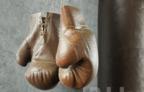 Champion (Boxing equipment)
