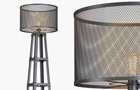 Lamp Radial Cage Floor Lamp