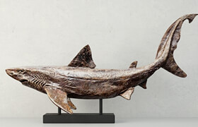 Relief of a Swimming Shark