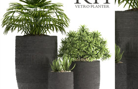 ​PLANTS 42