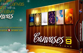 DigitalJuice - Canvases9 