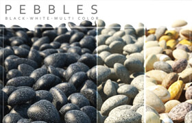 PEBBLES 2