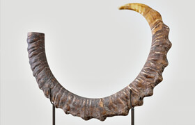 Sable Antelope Horn Sculpture