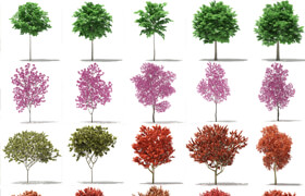 CGAxis Models Volume 76 Trees X [All Formats]