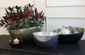 Decorative set with peppers by Kelly Hoppen