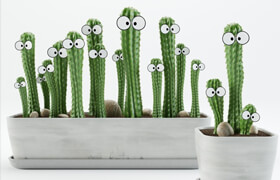 Cactus with eyes