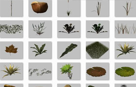 Dosch 3D Natural Objects