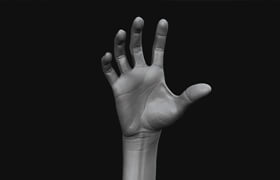 3DMotive - Hand Anatomy in ZBrush Volume 1-2