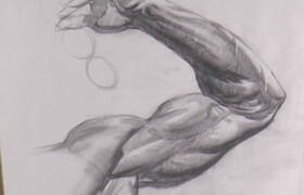 Watts Atelier - Anatomy Intensives - Arms&Legs(complete)