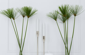 shoots of papyrus in a glass vase