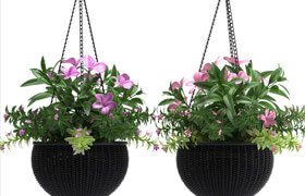 HANGING BASKET