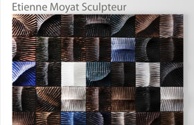 Wall art Etienne Moyat Sculpteur