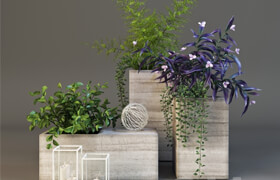 Decor set with plants