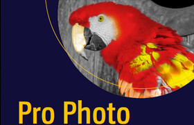Pro Photo Colorizing with GIMP