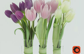 Tulips