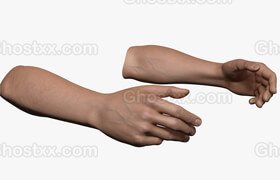 turbosquid - Rigged and Animated Hand (Male)-1-C4D