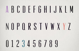 Vevey Personal License - font