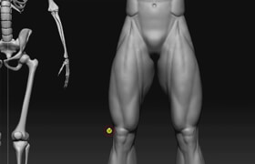 Cubebrush - Hero Anatomy En Vol. 4 The Body