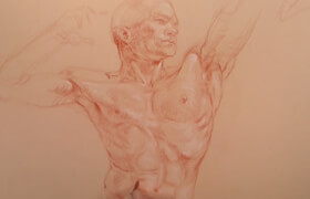 New masters academy - Drawing A Male Torso With 2 Colors