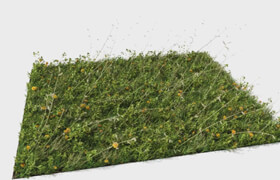 Blender guru - The Grass Essentials