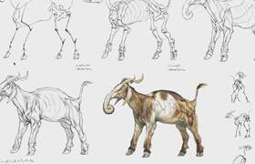 Schoolism - Creature Anatomy with Terryl Whitlatch