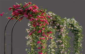 Arch with roses