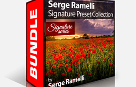 Serge ramelli signature presets