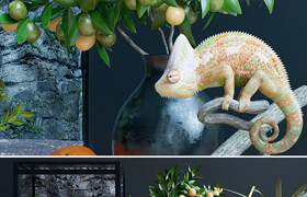 Decorative set, chameleon