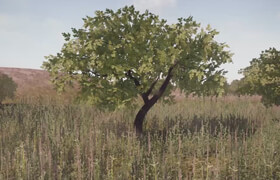 Pluralsight - Creating a Realistic Low Poly Tree in 3ds Max