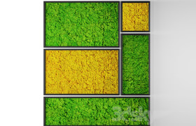 Vertical garden 10. Stabilized moss