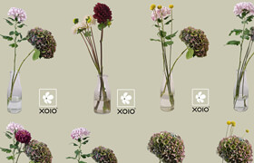 xoio - flowers pack A