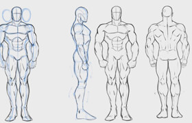 How to Draw Superheroes - Male Proportions Step by Step with Robert Marzullo