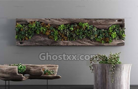 Decor Succulent Plant 3D model