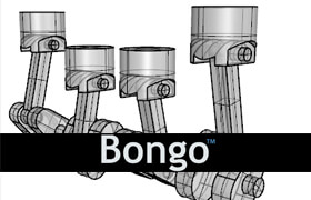 Bongo