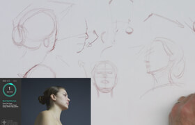 New masters academy - Beginning Head Drawing with Steve Huston