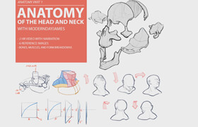 Gumroad - ANATOMY 1 HEAD AND NECK