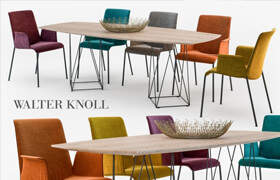 Walter Knoll Liz chair Joco table