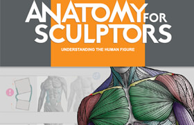 Anatomy for Sculptors (Understanding the Human figure) PDF