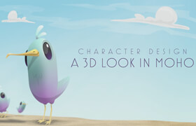 Character desigh - 3D look Inside Moho - Bird