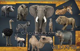 Cubebrush - WILD AFRICA PACK - 3dmodel