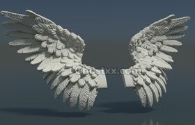 Cubebrush - Wings - 3dmodel