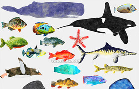 Cubebrush - Fish Illustration Collection - Animted Part 3 - 3dmodel